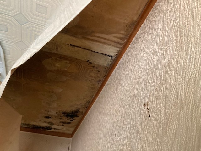 雨漏りで腐食した天井・別箇所